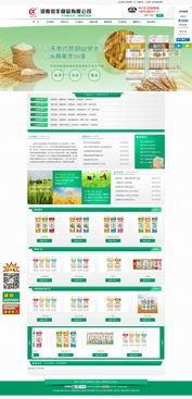 信陽(yáng)網(wǎng)站推廣品牌有哪些 春陽(yáng)電子 信陽(yáng)網(wǎng)站推廣效果好